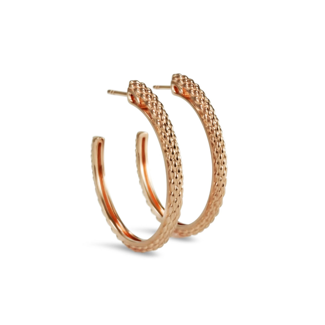 rose gold hoop earrings